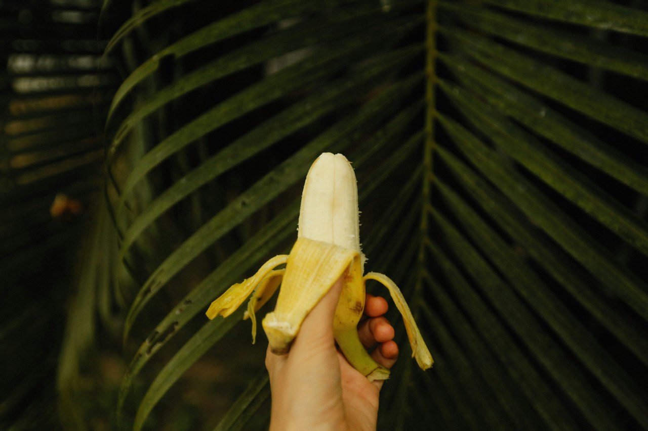 Circumcised Penis Vs. Non-Circumcised Penis