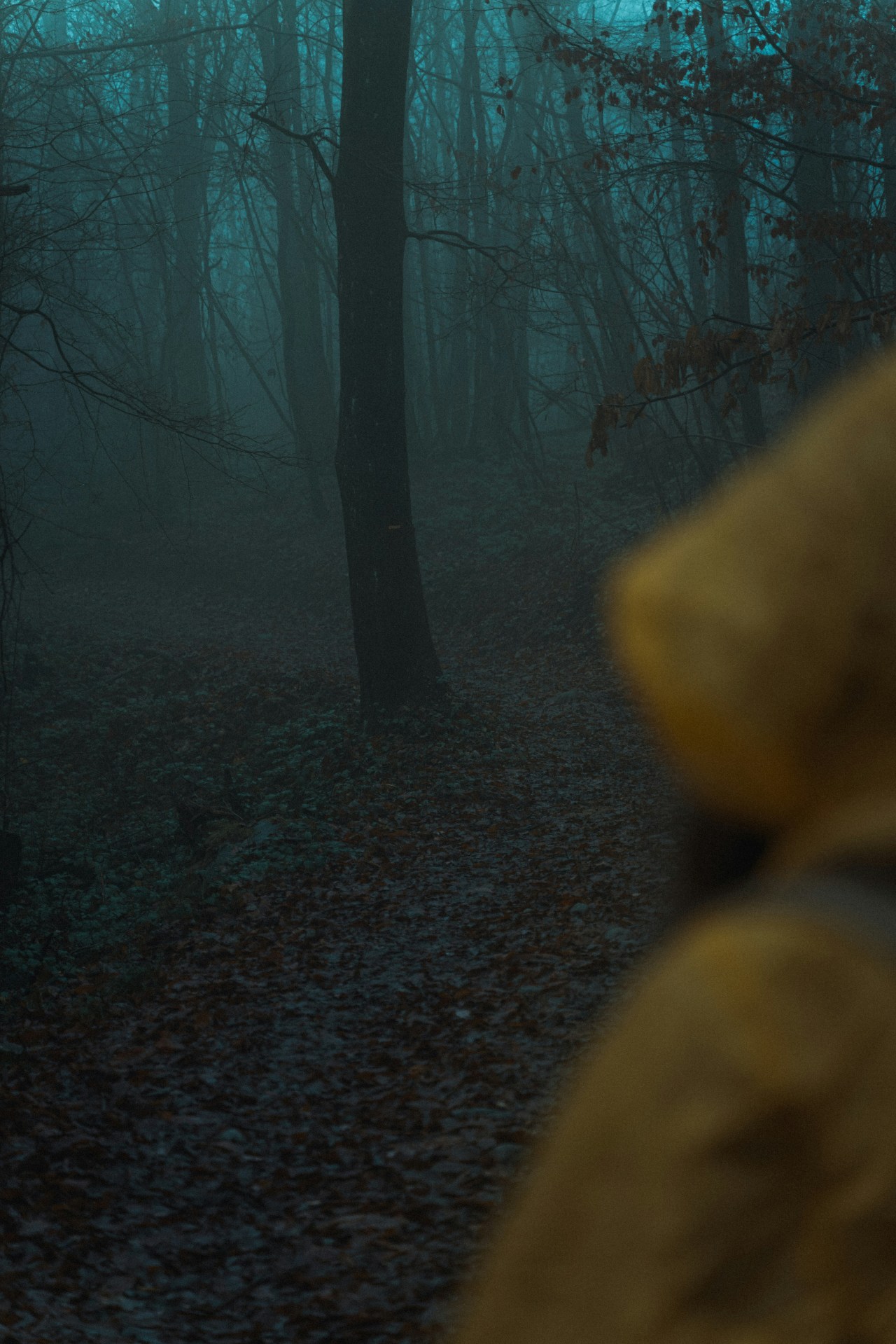 29 Men And Women Share The Terrifying Moments In Their Lives That They Can Neither Explain Nor Forget