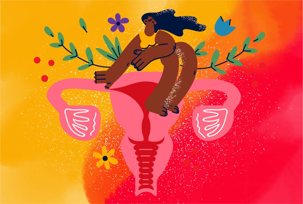 Is My Vagina Pretty?